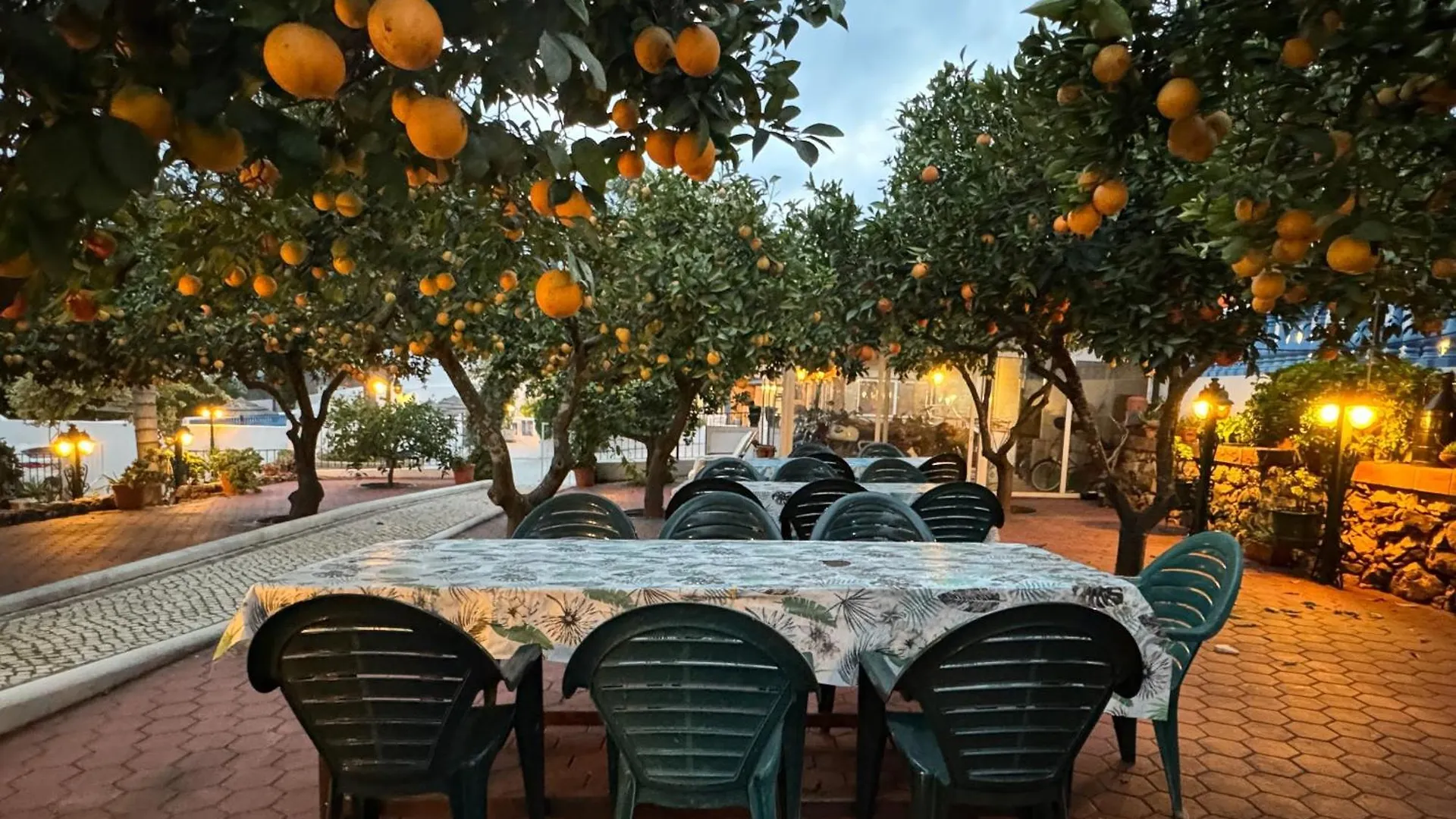 Farm stay Quinta Jardim Das Palmeiras, T2 N 8 , Algoz Silves Portugal